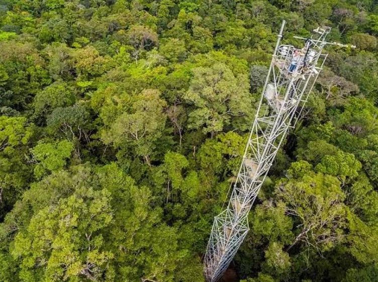 Yangambi Biosphere Reserve, Tshopo Province, DR Congo